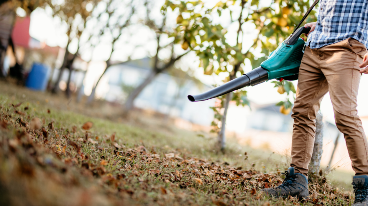 best leaf blowers 6704ca615e986