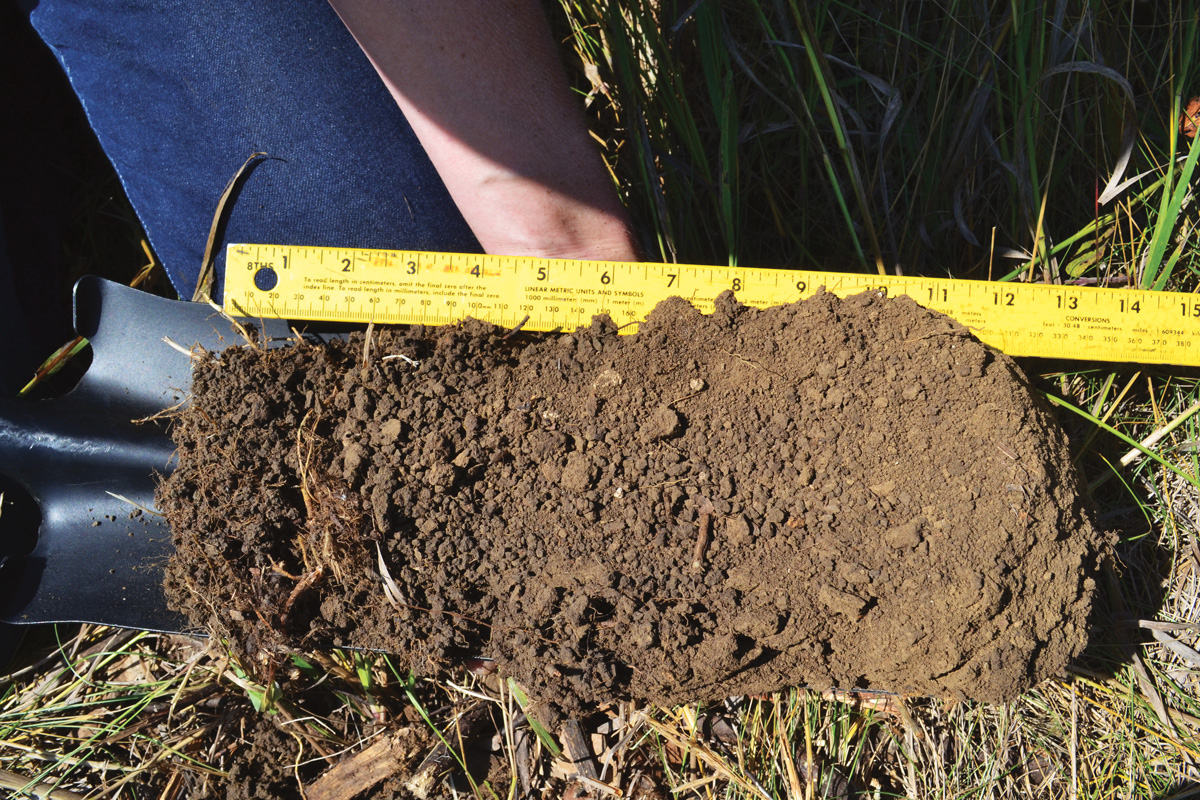 fg220 hg remnant grassland soil ctsy cornell soil health lab 1