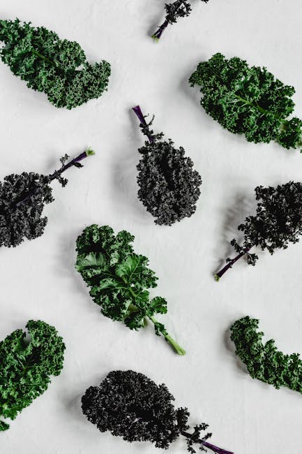 How to Control White Leaf Spots on Cruciferous Vegetables control white leaf spots crucifers