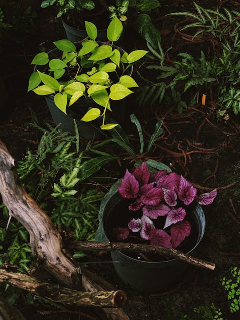 Garden Tool Reviews - Best Of Buying Guides Put Your Green Thumb to the Test: Arranging Foliage From Your Garden