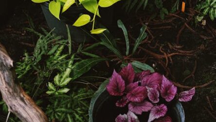 Garden Tool Reviews - Best Of Buying Guides Put Your Green Thumb to the Test: Arranging Foliage From Your Garden